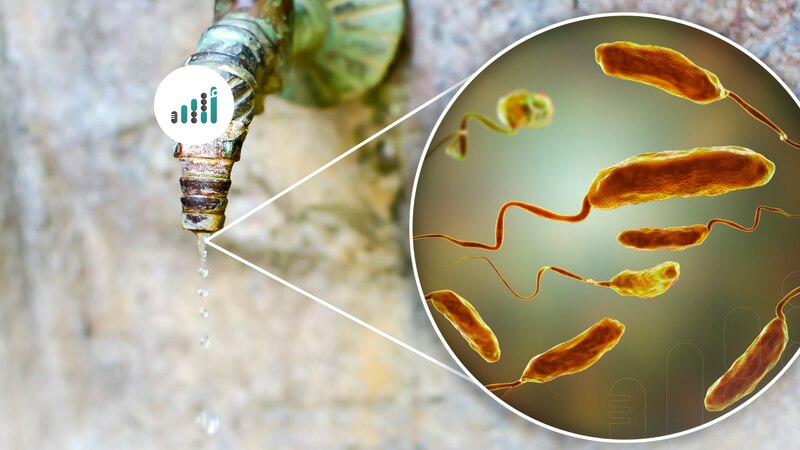 “الصحة العالمية”: 31 دولة تكافح أسوأ موجة كوليرا منذ سنوات