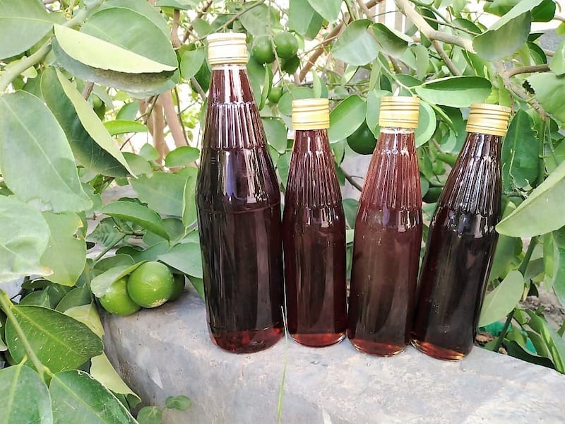 طريقتان لتربية العسل…والعماني له نوعان