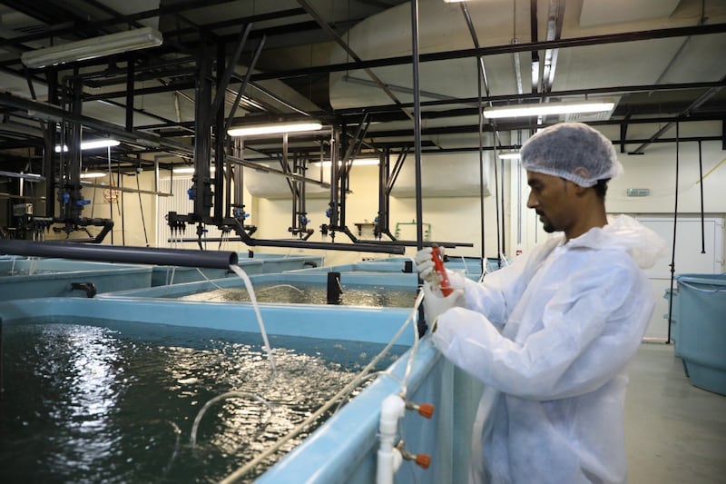 بهدف الاستغناء عن الاستيراد: اتفاقية حول إنتاج زريعة الأسماك الزعنفية بالسلطنة