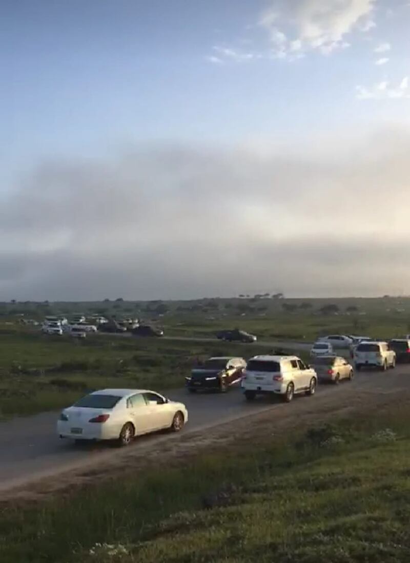 “جبجات” تتألق في موسم “الصرب” و3 مواطنين يوضحون أبرز متطلبات النيابة