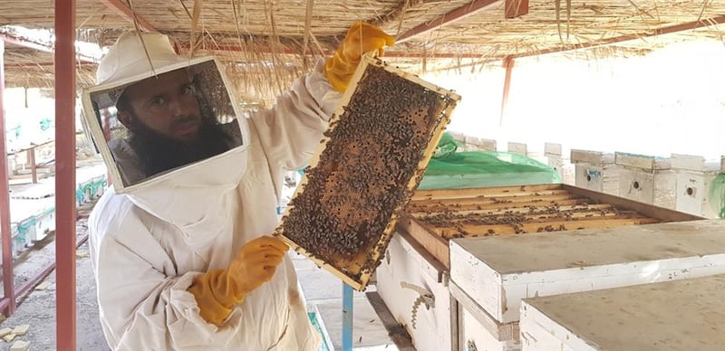 نحّال يروي تجربته مع العسل خلال أكثر من 30 عامًا