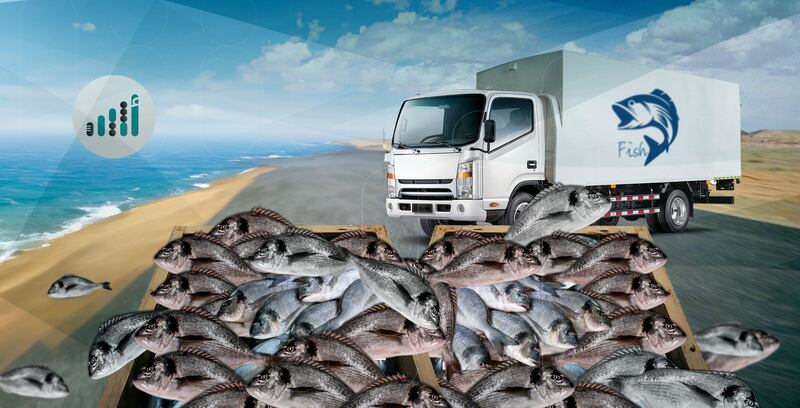 صادراتنا من الأسماك تتخطى 300 طن، فما الأسواق التي استهدفتها؟