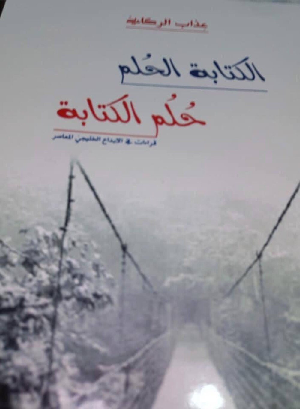 محمد الهادي الجزيري يكتب: الكتابة الحلم – حلم الكتابة