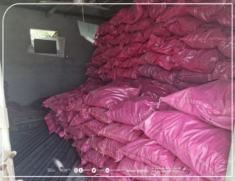 بعد أن تم ضبطهم في الباطنة: ما عقوبة من يقوم بتسخيم حطب الأشجار؟