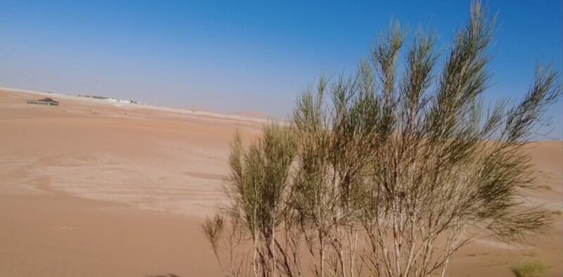 بحيرات بين الكثبان الرملية في نياية المشاش