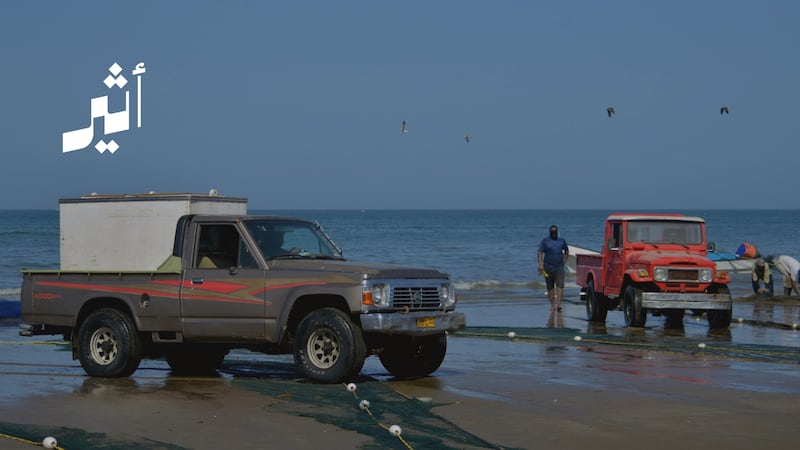 بعد 7 سنوات من الانتظار: لائحة تنفيذية موحّدة تضبط قطاع الثروة المائية الحية