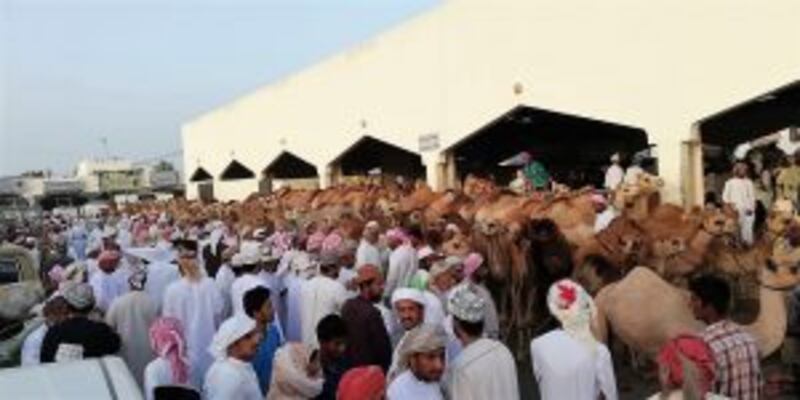 الهبطة أول أفراح العمانيين بعيد الفطر… فماذا تعرف عنها؟