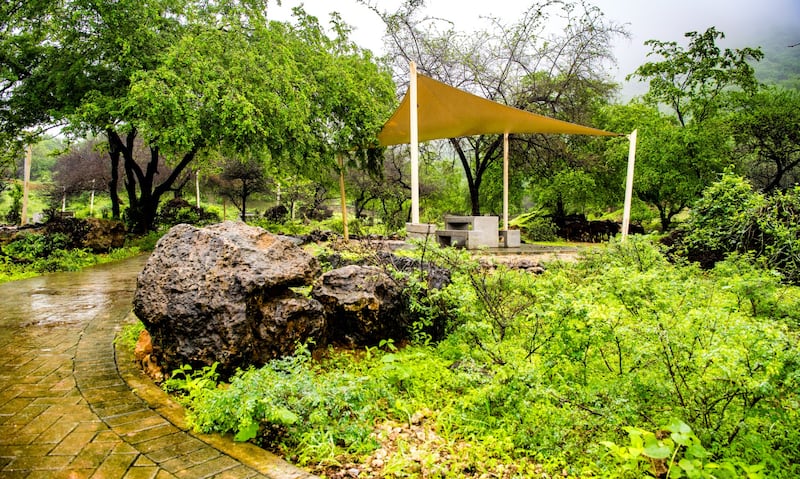 وأنت في ظفار: لا تفوت زيارة هذه العين الساحرة