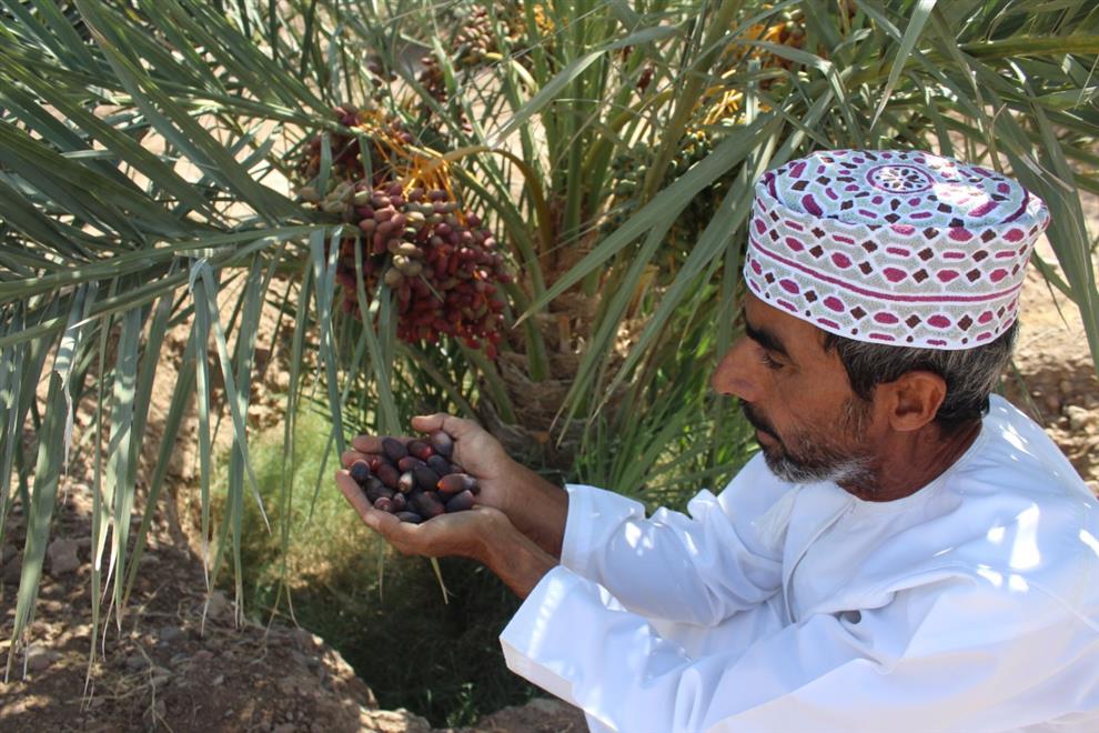 بدء تباشير القيظ في نزوى