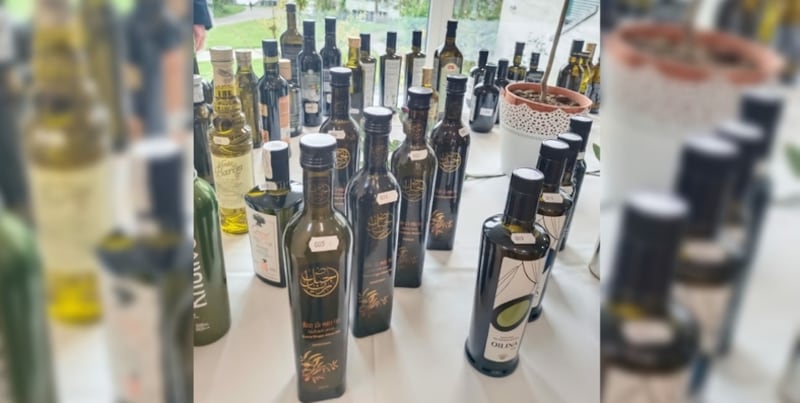 زيت زيتون عماني يحصد “الجودة” في مسابقة عالمية