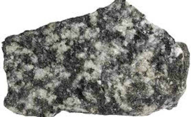 اُفتتحت شركة وطنية للاستثمار فيه: ماذا تعرف عن الجابرو؟