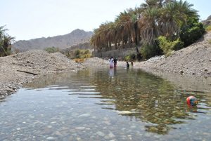 #السياحة_في_بلادي: ماذا تعرف عن الوادي ذي الخضرة والشلالات في الباطنة؟  