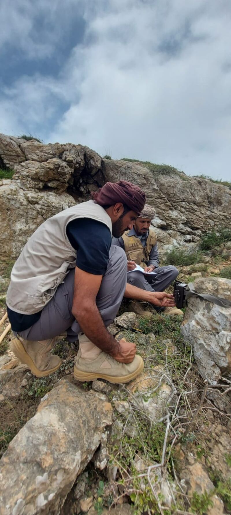 بالصور: ظهور “نادر” لأنثى النمر وشبلها في إحدى المحميات