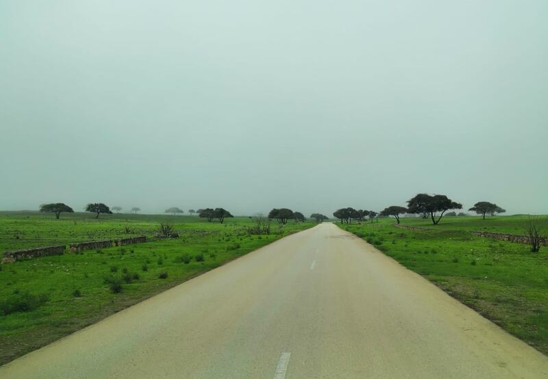 بالصور: تعرف على “جبجات” مقصد موسم “الصرب”