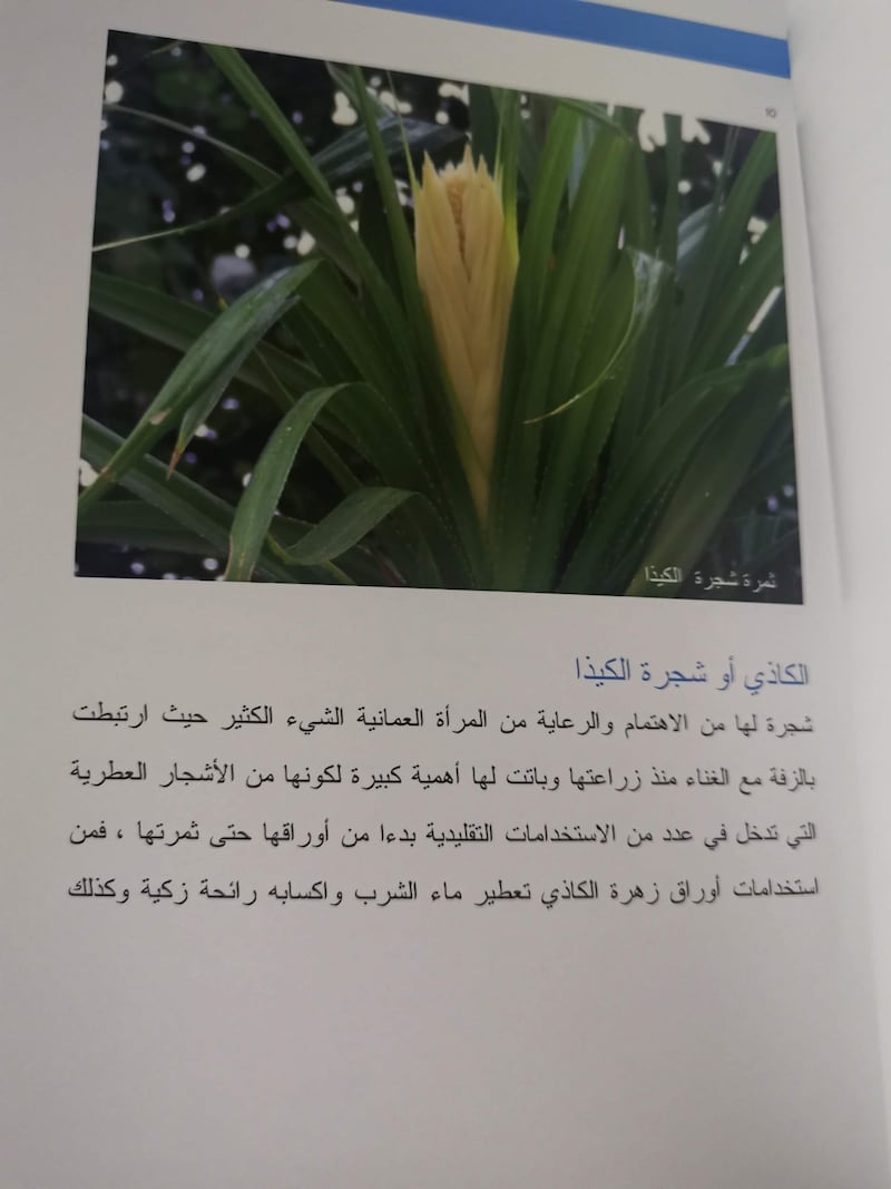 منها الكيذا والمحلب: نباتات استخدمتها المرأة العمانية لزينتها قديمًا