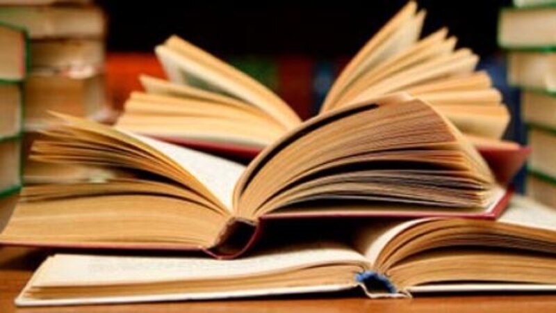 د.رجب العويسي يكتب: التعليم والثقافة: مشتركات أقوى لإنتاجية أفضل