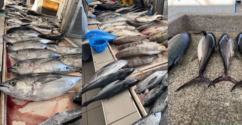 الكيلو وصل بريال: كيف يمكن استثمار موسم الجيذر؟