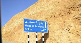 تسجيل حالة غرق في وادي العربيين