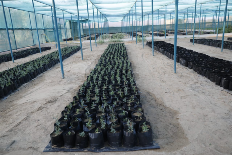 محميّة بها قبور أثرية تعود إلى 3000 سنة قبل الميلاد