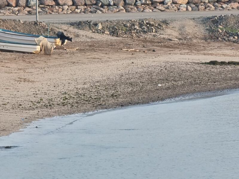 بالصور: معاناة سكّان “عينت” هل تجد لها آذانا صاغية؟