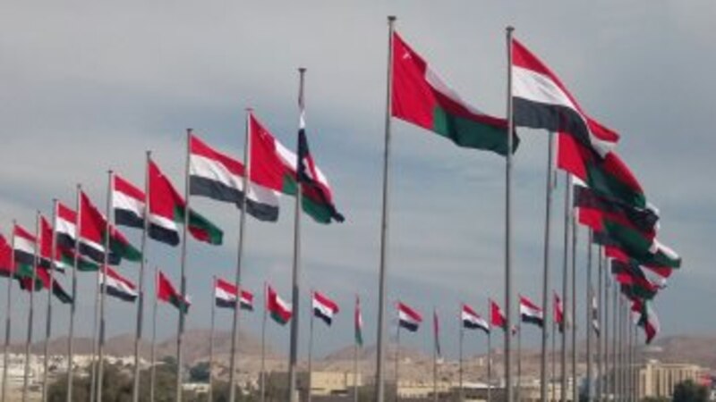أدباء مصريون لـ “أثير”: الثقافة عنصر داعم لتميز العلاقات المصرية – العمانية
