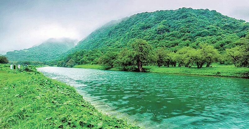 عروس الخليج في عين أستاذ تونسي