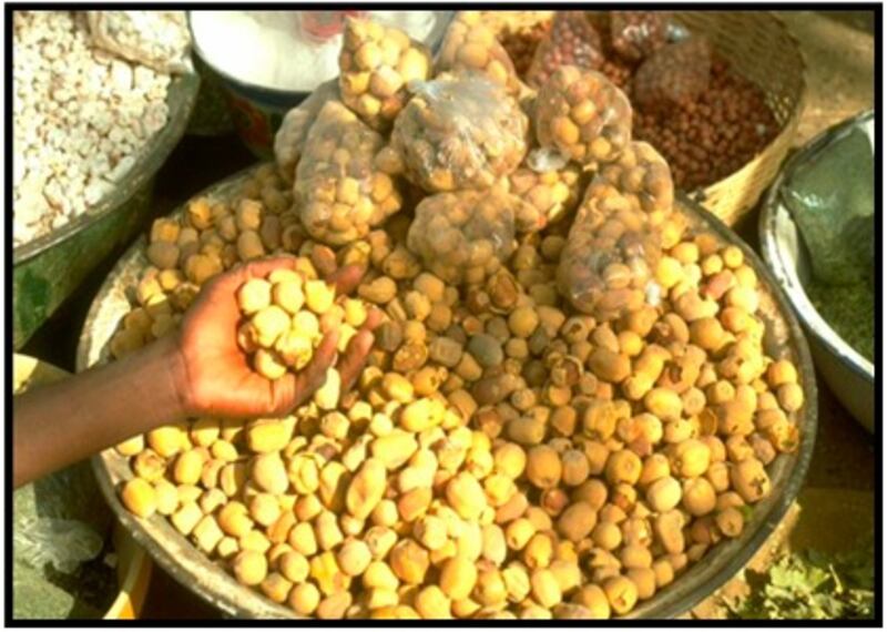 بلح الصحراء: دواء وغذاء؛ فماذا تعرف عنه؟