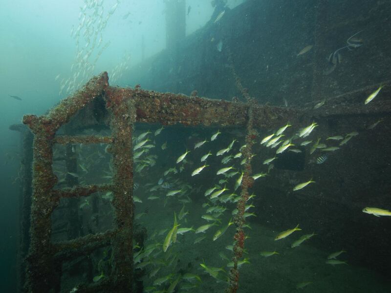 بالصور: شاهد السفينة التي أُغرقت بأوامر من السلطان قابوس قبل 20 عامًا