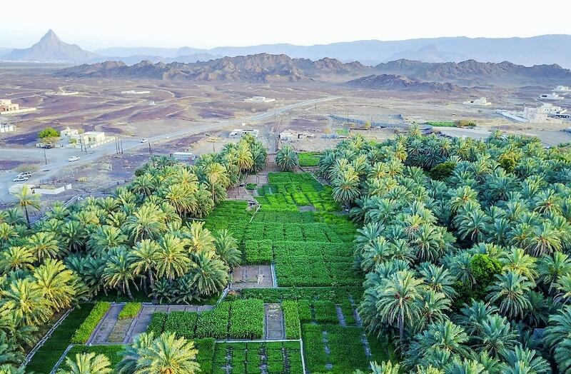 ماذا تعرف عن القرية التي سُمّيت على اسم فلجها في ينقل؟