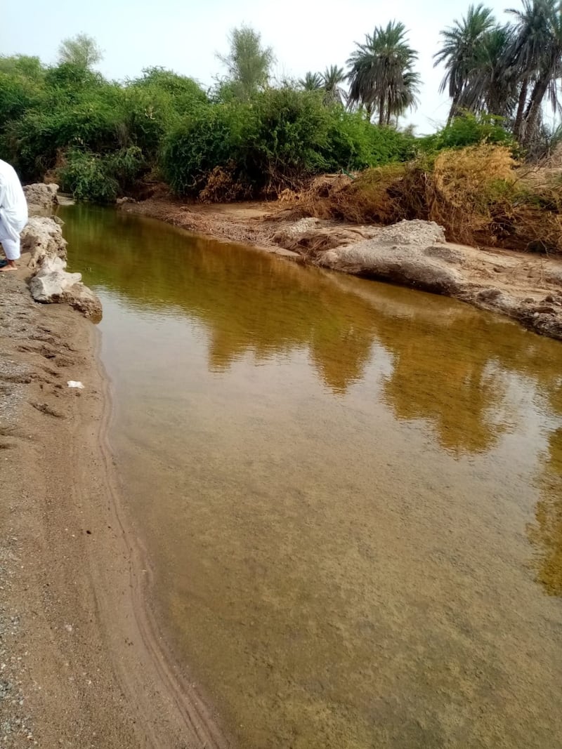 فلج السوقية..الوادي يطمر والأهالي يصينون