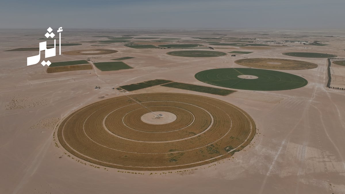 أثير| من النجد إلى فنس : مشروعات واستثمارات تعزز الأمن الغذائي في سلطنة عُمان. 4 محافظات تتصدر مشهد الأمن الغذائي. عشرات المشروعات ومبالغ مليونية خُصصت لأمننا الغذائي. الأصناف المزروعة تتنوع بين المحسّنة والمحلية، وأصناف جديدة ستنافس عالميًا. التفاصيل 
