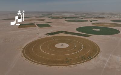 من ”النجد“ إلى ”فنس“: مشروعات واستثمارات تعزز الأمن الغذائي في سلطنة عُمان