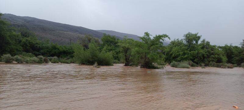 بالصور: الخير “ينهمر” على عدد من الولايات