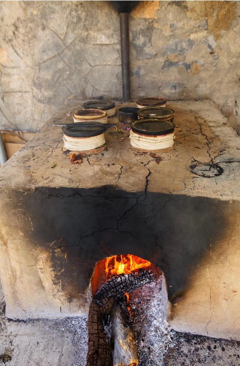 بالأرقام: الورد يغطي مدرجات الجبل الأخضر