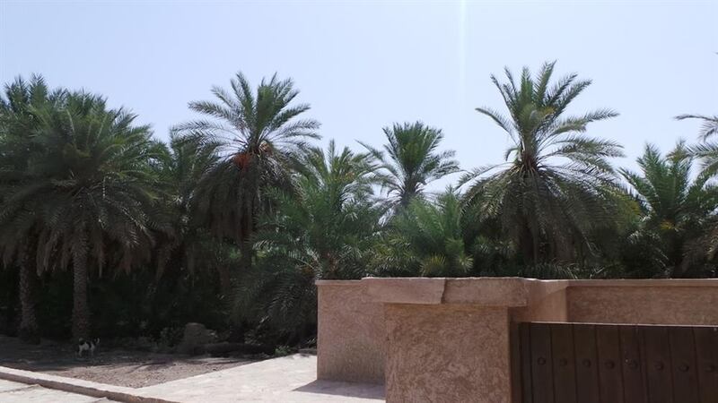 تعرف على الحصن الذي بناه ابن الإمام أحمد بن سعيد