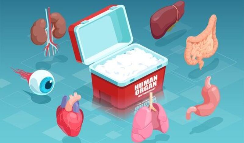 بمباركة سامية: إنشاء المركز الوطني لزراعة الأعضاء