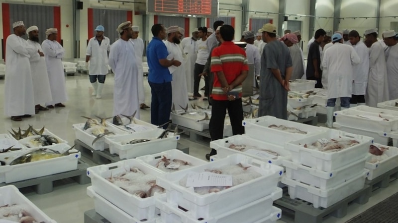بالأرقام: “خيرات البحر” في مسقط