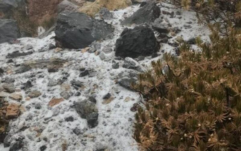 إذا كنت تريد الاستمتاع بالثلوج؛ جبل شمس ينتظر زيارتك