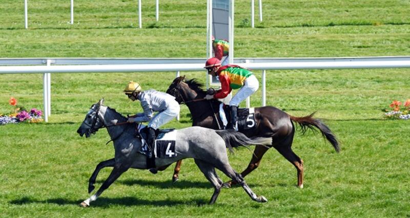 مراكز متقدمة للخيالة السلطانية على مضمار ولفرهامبتون البريطاني