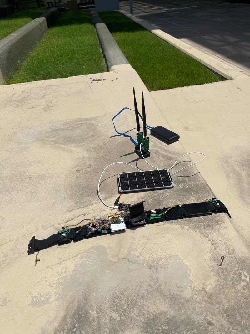 فَقَد صديقه بسبب جمل سائب؛ فابتكر حلًا لحماية الآخرين