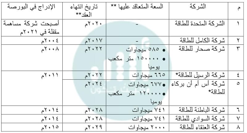 واحدة أعلنت التصفية وأخرى الإفلاس: ما قصة الشركات الـ 7 المرتبطة بالطاقة؟ الجزء الثاني