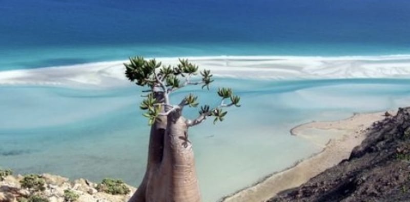 الوصايا العُمانية الخالدة لحماية أهل سقطرى الرائعة