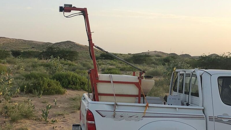 الزراعة تتفاعل مع بلاغات عن الجراد الصحراوي