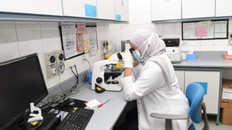 د.رجب العويسي يكتب عن إسهام التعليم في تحقيق مبدأ التعايش مع كورونا