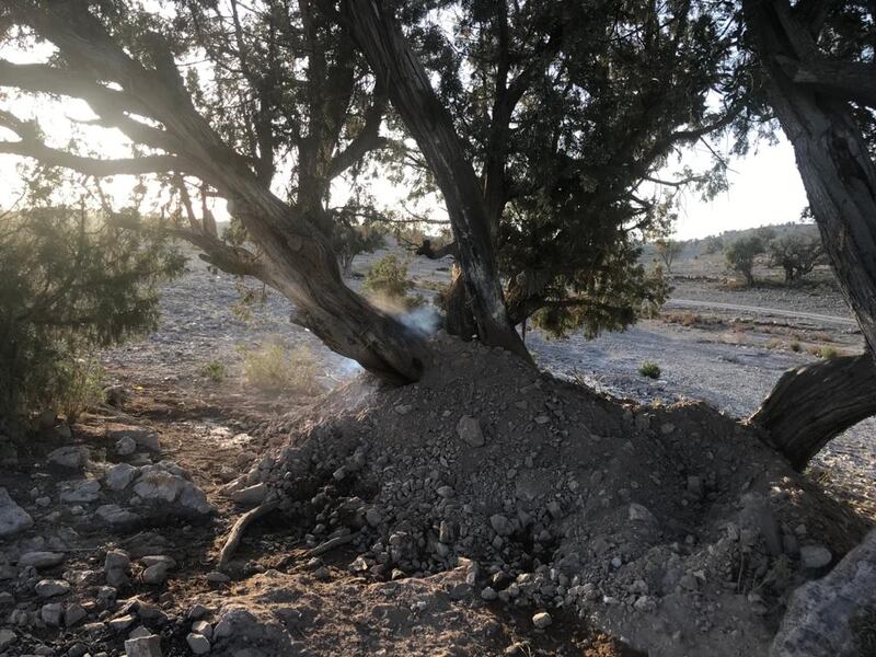 إخماد حريق شب في إحدى أشجار العلعلان بالجبل الأخضر