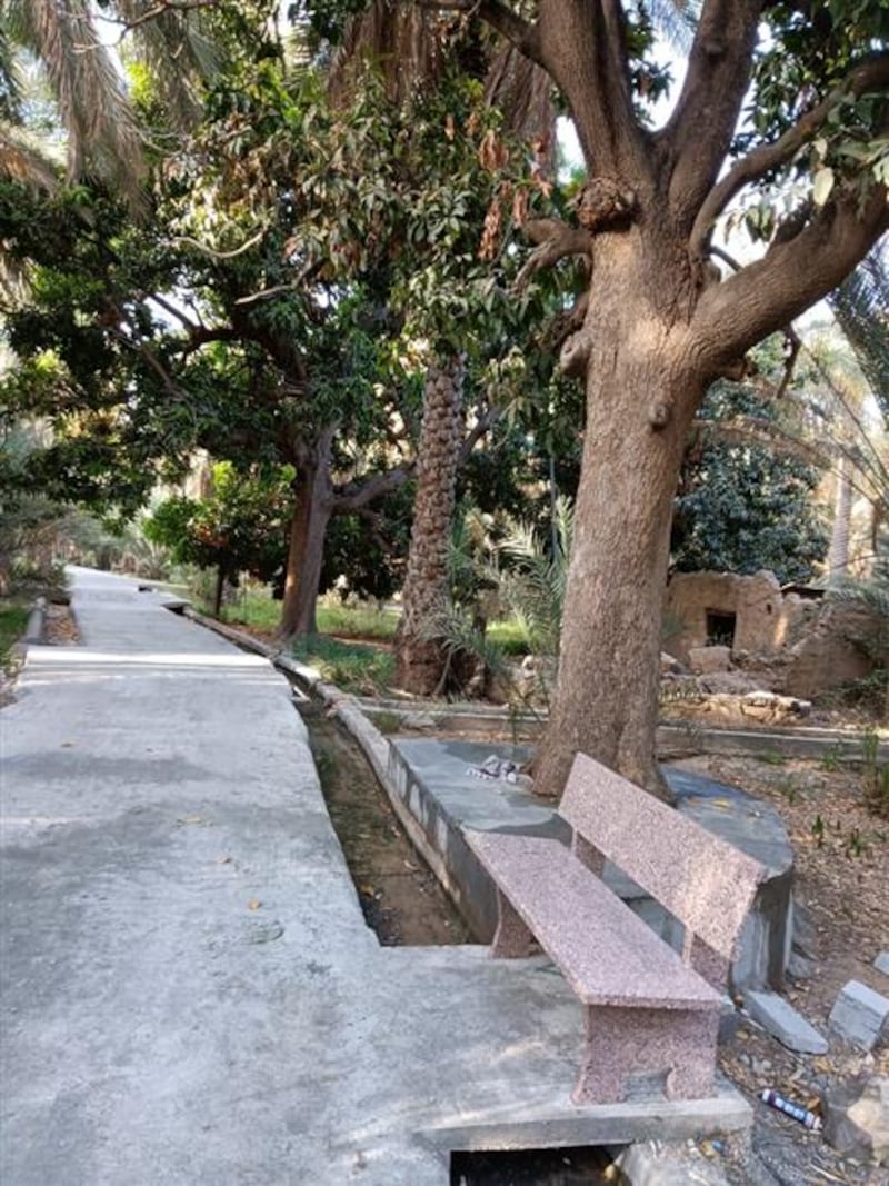 أهالي الحمراء يرصفون طرقًا بين المزارع لممارسة المشي