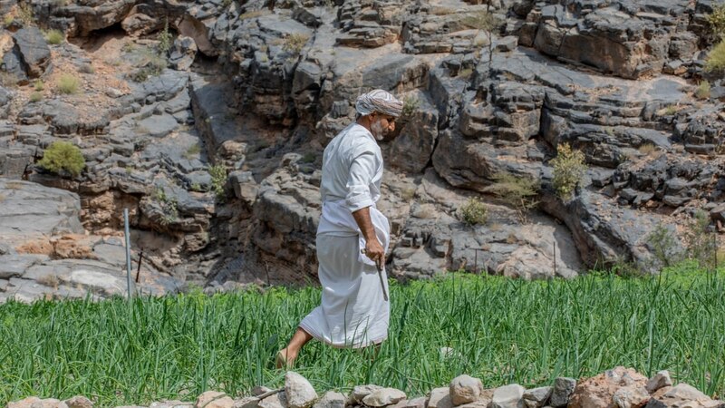 من قرية عُمانية إلى العالم: مشروع للسياحة الزراعية