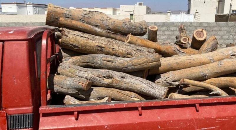 قام بالاحتطاب بدون تصريح؛ فما هي عقوبته؟