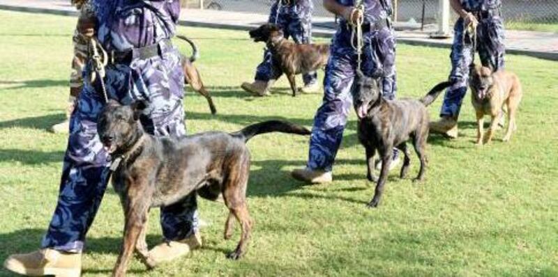 كلاب شرطية تسهم في ضبط مخدرات بأحد الشواطئ