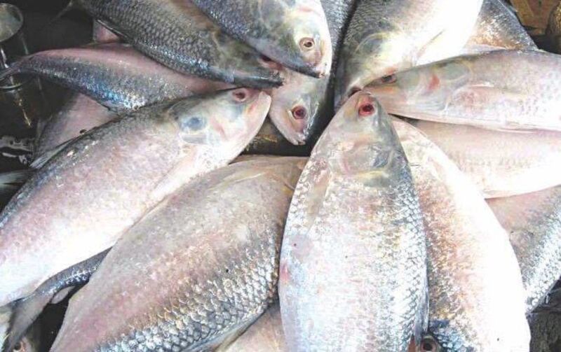 كأس الخليج سيكون في البصرة؛ فماذا تعرف عن هذه المدينة المُسمّاة بـ “خزانة العرب”؟